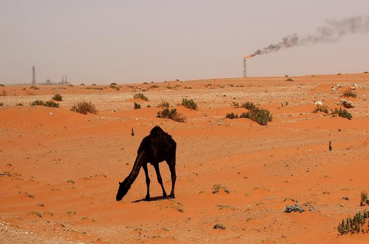 Climate justice - A camel in a desert in Saudi Arabia. In the background, an oil facility of the oil giant Saudi Aramco.