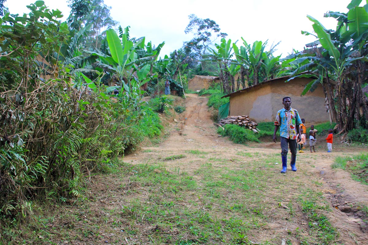 A path in the village of Maboya-Loya in North Kivu, Democratic Republic of Congo (DRC).