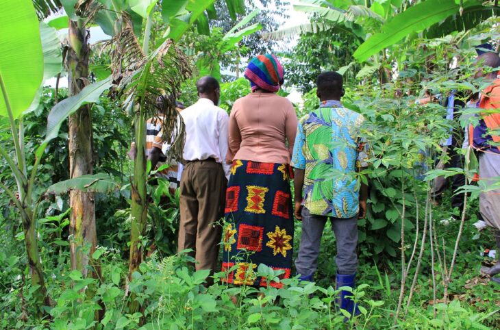 Dans des villages du Nord-Kivu, en République démocratique du Congo (RDC), des rescapés d'attaques de militaires ougandais attendent de recevoir des réparations. Photo : trois survivants des massacres (vus de dos) devant une fosse commune (absente de l'image) où sont enterrés leurs proches.