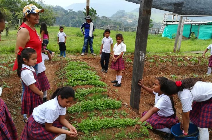 Le Covid-19 éloigne encore plus les réparations en Colombie