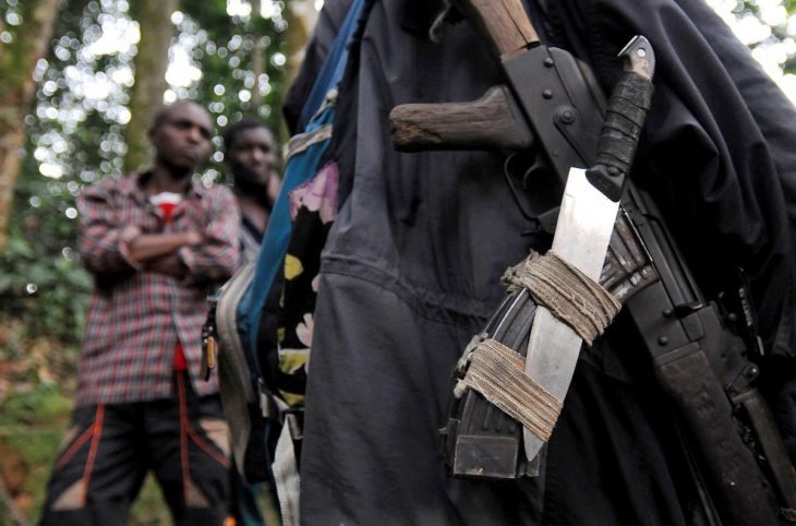 Après la loi des armes, la justice en panne pour les FDLR